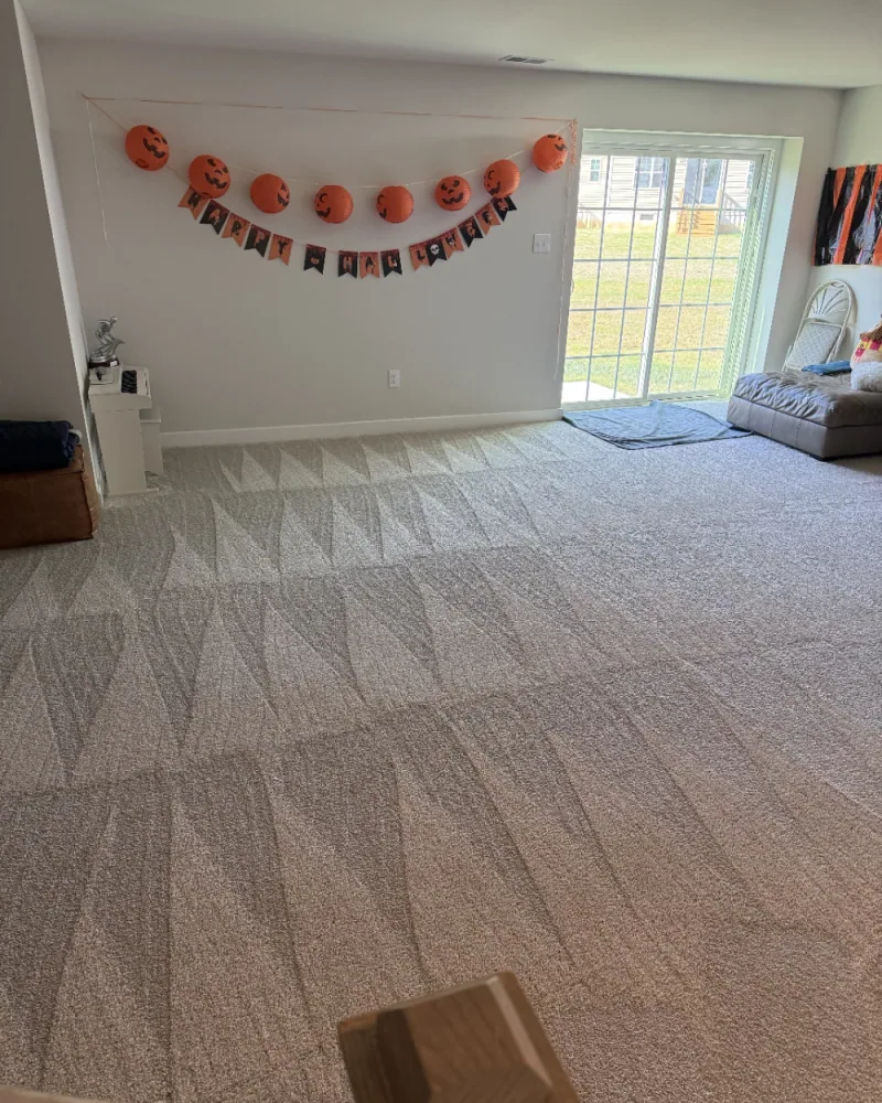 Fresh vacuum lines across wall-to-wall carpet after a residential cleaning